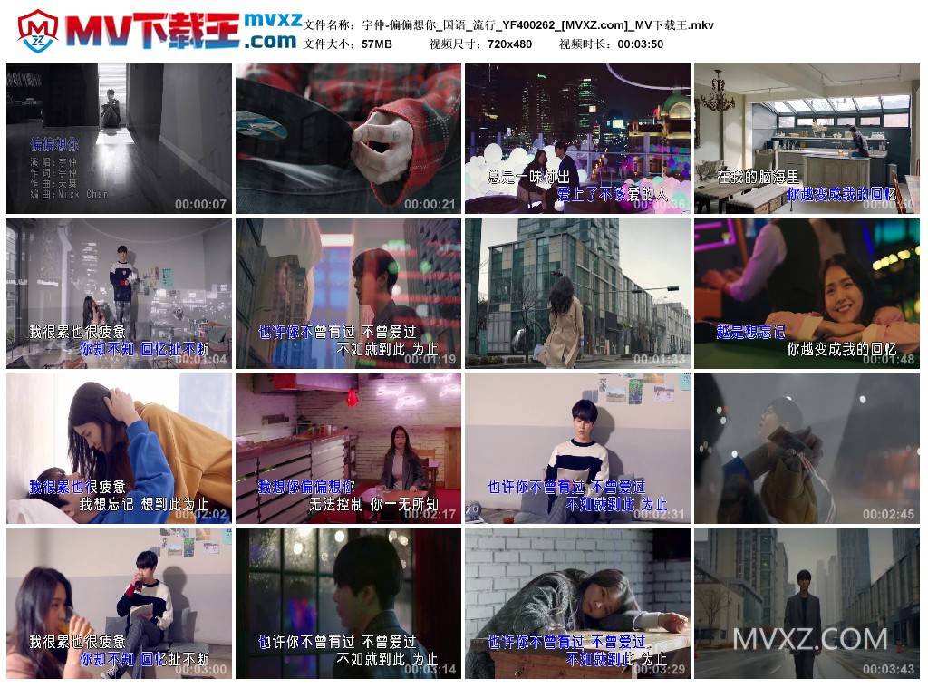 宇仲-偏偏想你_国语_流行_YF400262